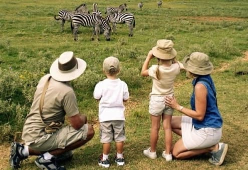 Children on safari game drive Kenya wildlife family