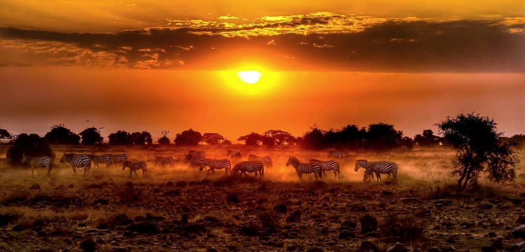 Sunrise over Amboseli National Park Kenya safari