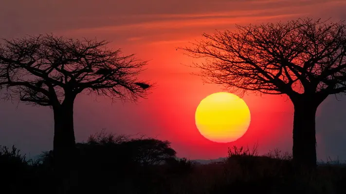 Sunset over Tarangire National Park Tanzania