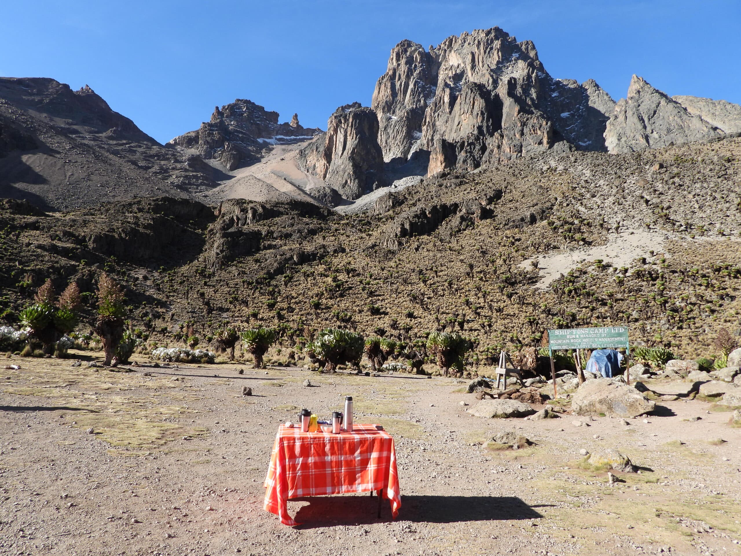 Mountain hikers on alpine meadows Mount Kenya
