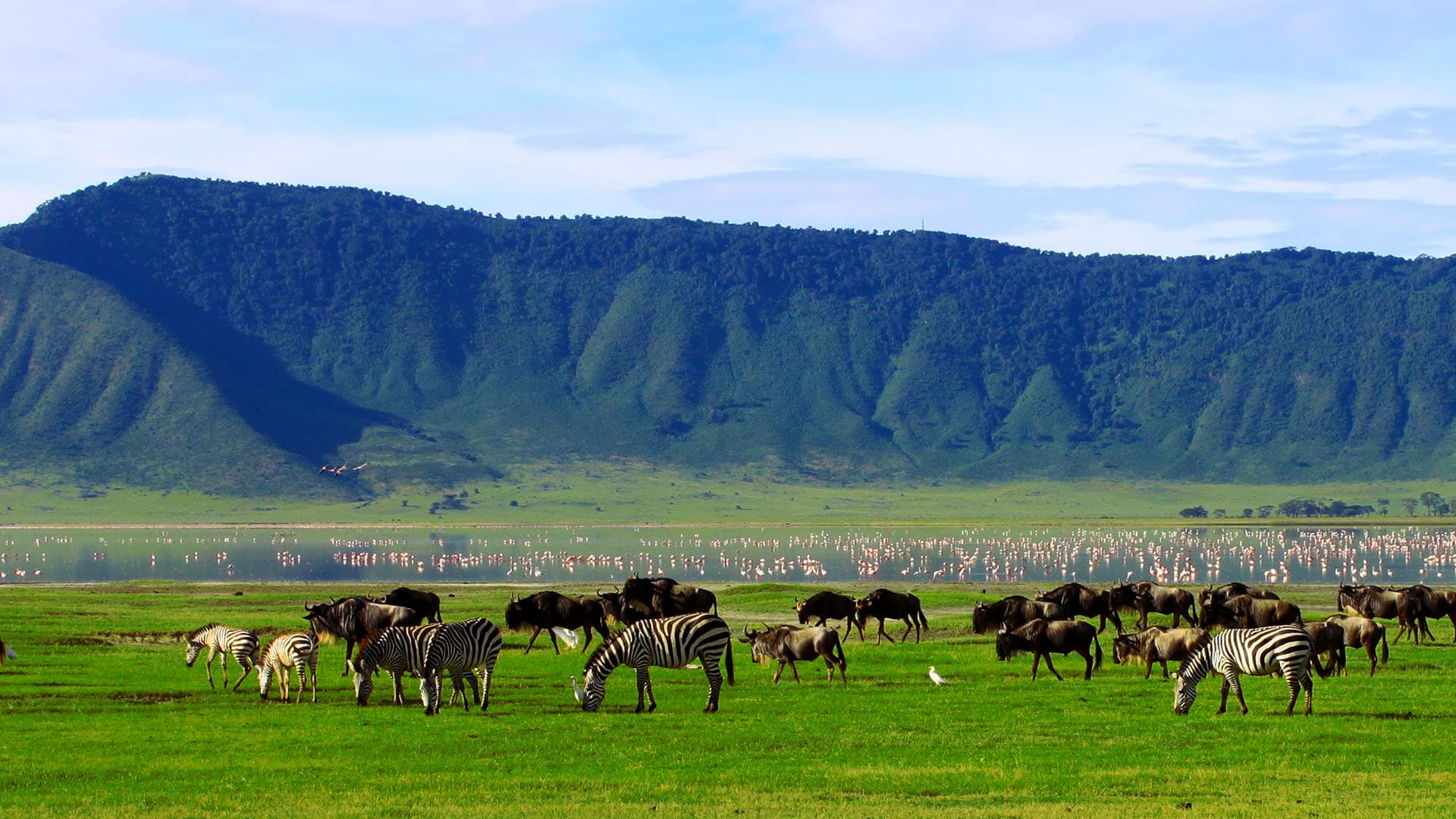 Ngorongoro Crater landscape Tanzania safari