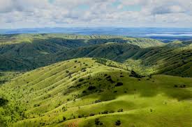 Scenic landscape Akagera National Park Rwanda