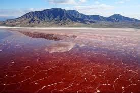 Pink water landscape of Lake Natron Tanzania