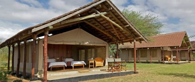 Budget safari Tsavo Kenya