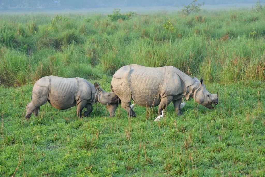 Landscape of Kaziranda National Park Uganda heritage